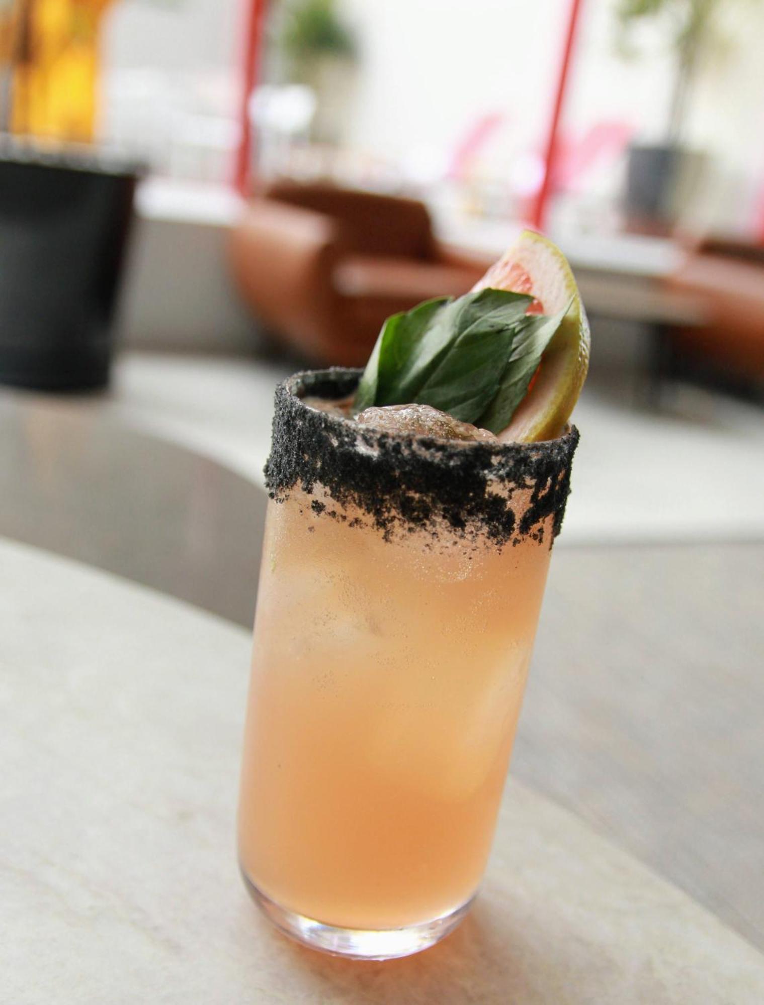 Metria Hotel León Eksteriør bilde Paloma cocktail
